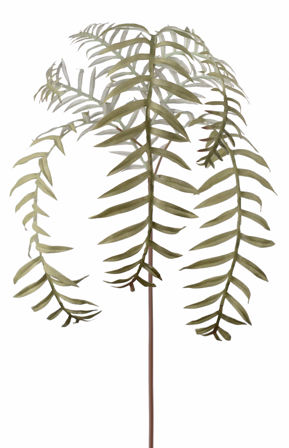 Mr Plant Kunstig Ormbunksblad H50