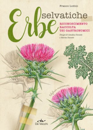 Erbe selvatiche. Riconoscimento. Raccolta. Usi gastronomici Franco Lodini