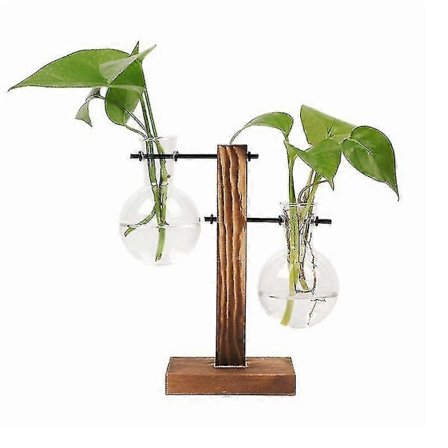 Hydroponinen kasvi maljakko työpöydälle kirkas lasi sipulin muotoinen maljakko terraario istutusteline puujalustalla