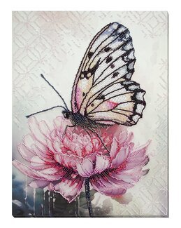 Helmikirjonta Terälehtiunelma-Abris Art