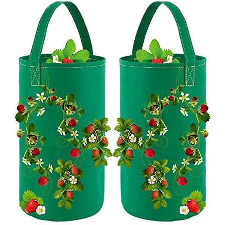 Andningsbara jordgubbspåsar med fickor, 2-pack (gröna)