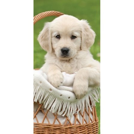 Hundbadhandduk, strandhandduk 70*140 cm - Perfekt för din fyrbenta vän!