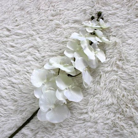 Sommerfugl Orkidé Kunstig Blomst BEIGE