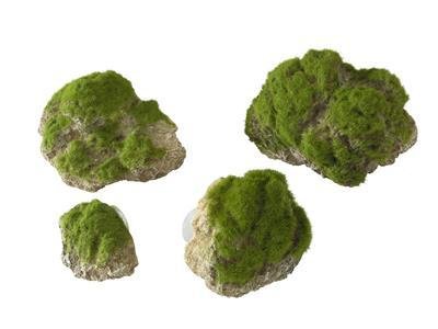 Akvariedekorasjon Stein med Mose - 17cm