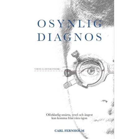 Osynlig Diagnos 9789151973111