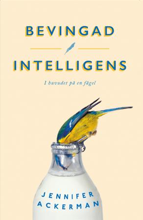 Bevingad intelligens : I huvudet på en fågel - Bok av Jennifer Ackerman - Pocket