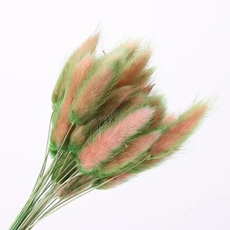 30 stk/lot naturlige tørkede blomster kaninhale gress bunt fargerike Lagurus Ovatus ekte blomsterbukett for hjem bryllup dekorasjon