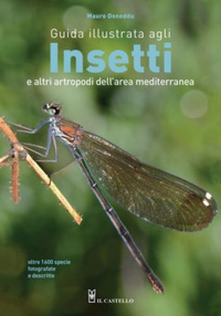 Guida illustrata agli insetti e altri artropodi dell'area mediterranea. Ediz. a colori Mauro Doneddu