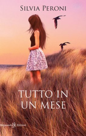 Tutto in un mese. Con Libro in brossura Silvia Peroni