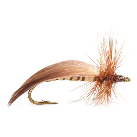 Grönlunds Special Light # 10