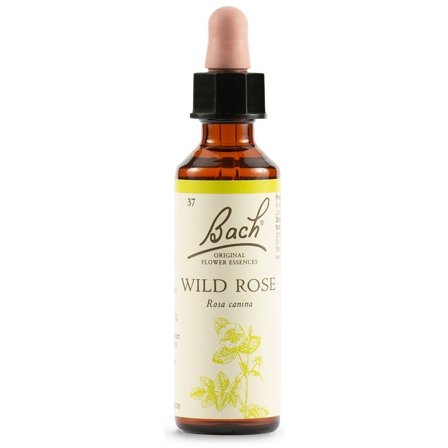 Fiori di Bach Wild Rose Bach Original 20ml