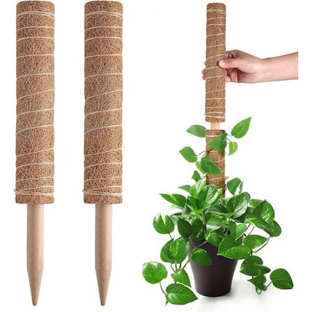 PC Sammalpylväs, jatkettavat kasvitikut, kasvitukikepit sisäkukille, 40 cm kookoskuituinen kiipeilytuki pothos-kasville ja muille kiipeileville 