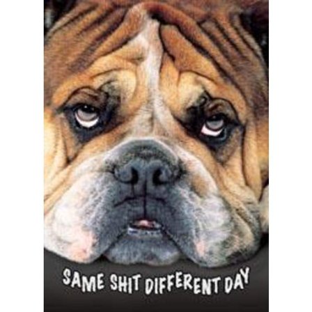 Same shit, different day