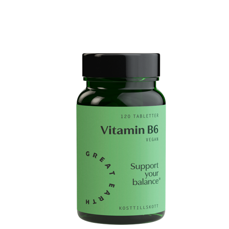 Great Earth Vitamin B6 120 tabletter