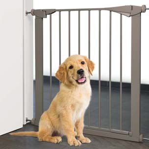 Hundegrind i Metall - 79-84cm