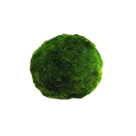 Akvarium Landskapsdekoration Gröna Algbollar . X7I5 E9I7