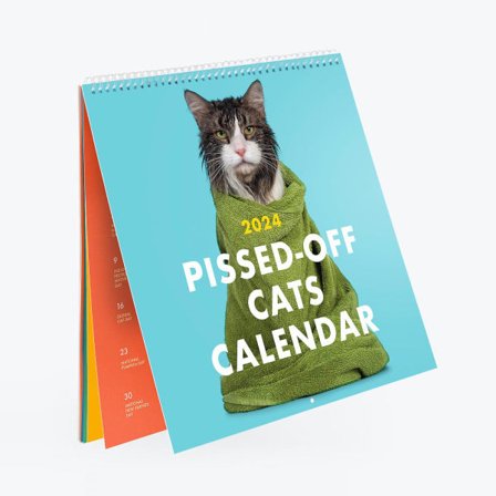 2024 Arg Cats Väggkalender, Rolig Kalender med Katt-Tema