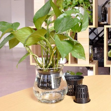 25 st Växtkorg Svart Hydroponisk Kruka Tålig Miljövänlig Plast Lämplig för Kloningsmaskin Hög Kvalitet Helt Ny