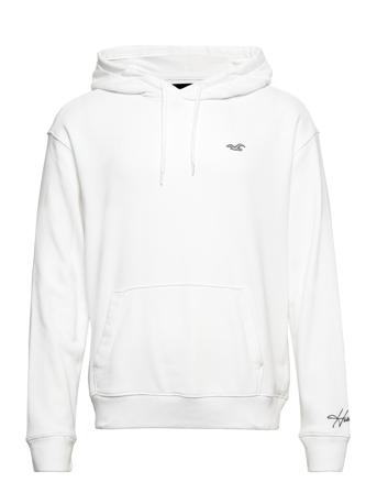 Hco. Guys Sweatshirts White Hollister