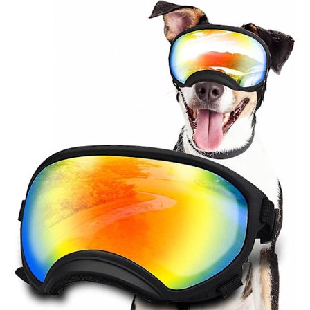 Hund med justerbar rem, Uv-skydd vindtät