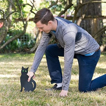 Kattefigur Markindsats Dekorsæt med 3 2D Livagtige Killing med Reflekterende Øjne