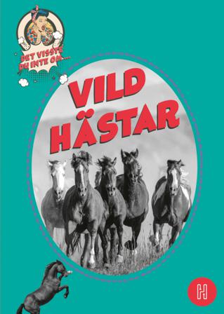 Det visste du inte om vildhästar - Bok av Jenny Edvardsson - Inbunden