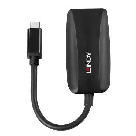 Lindy video adapter - 24 pin USB-C til DisplayPort - 13 cm