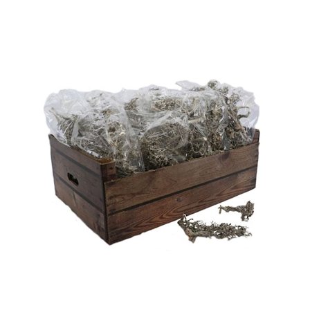 Bonsai dekorativ gren til boligindretning