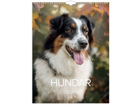 Burde Väggkalender Stora Hundkalendern 2026 - Lyreco - Almanackor och kalendrar - Väggkalendrar - Bildkalendrar