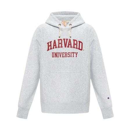 Champion Hoodie with logo patch Grå, Herre, Størrelse: S
