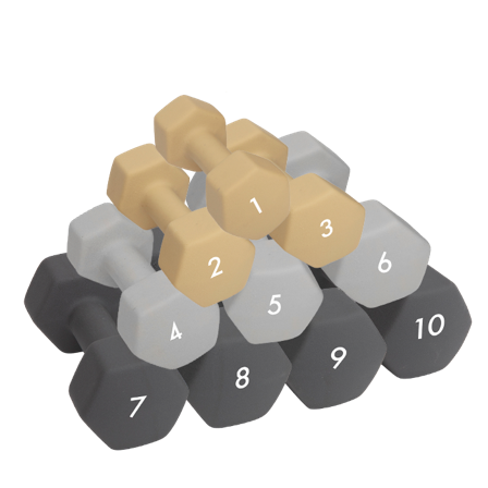 Abilica Manual 1–10 kg