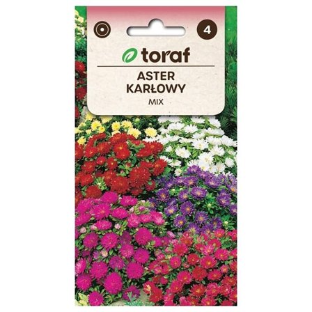 Frö till Dwarf Chinese Aster Mix – Lågväxande och rikblommande aster