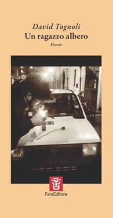 Un ragazzo albero David Tognoli