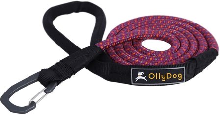 OllyDog Mountain Leash WildAster