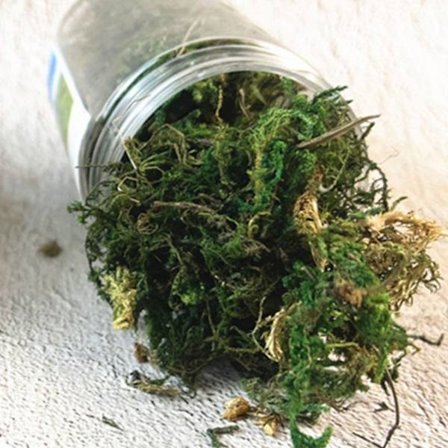 1 æske simulerede buskmos miniature statiske planter GRØN