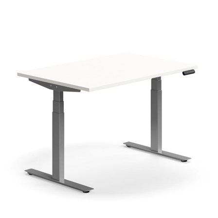 Standing desk QBUS, dual motor, straight, 1200x800 mm, silver frame, white