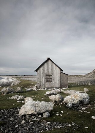 Storefactory Poster Barren 50x70cm