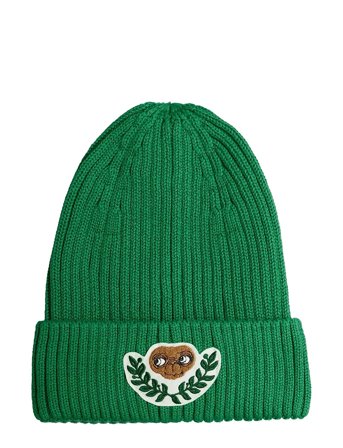 Mini Rodini E.t Patch Knitted Rib Fold Up Hat - Green - 48/50