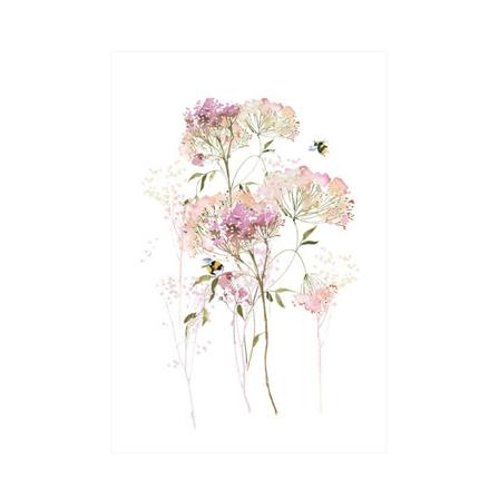 Summer Thornton Wild Meadow Print 40cm x 30cm Vit/Rosa White/Pink 40cm x 30cm