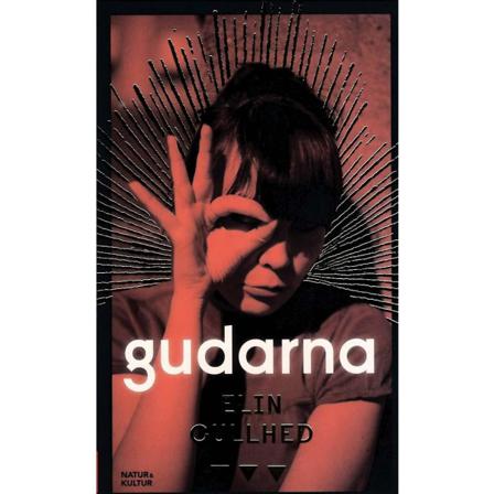 Gudarna 9789127158566