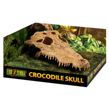 Exoterra - Krokodillehodeskalle - Sikkert gjemmested Beige 22 cm - Reptil - Terrarium inventar - Terrarium-dekorasjoner - ZOO.no