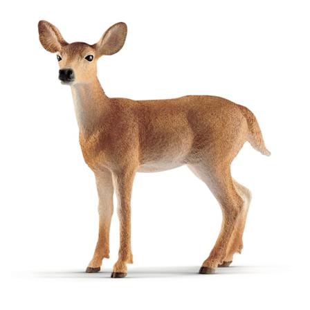 Schleich Vitsvanshjort Hona 14819 Multifärg