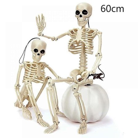 Mike 60 cm Halloween Skelett, helkroppsskelett med rörliga leder för spökhusdekorationer