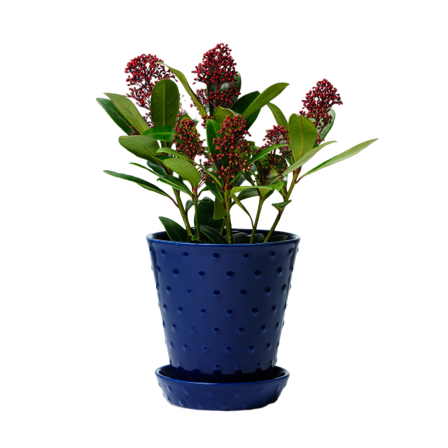 In Flore Astrid Blomkruka Och Fat Krukor & vaser Blå