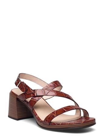 F-7702 Zambesi Brown Wonders