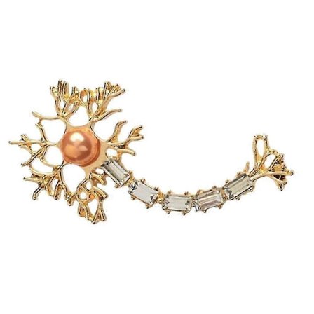 Hjerne Nervevev Anatomi Mote Brosje Nål Smykker Gave til Leger, Forskere, Studenter