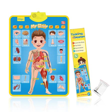 Elektronisk veggplakat Interaktivt alfabet Småbarn Førskole Pedagogiske spill Læringsaktiviteter for barn Bursdagsgaver Leker