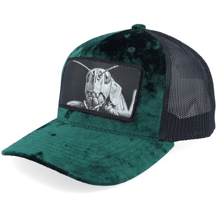 Calza Pennello - Grønn trucker Caps - Grasshopper Big Patch Green/Black Velvet Trucker @ Hatstore