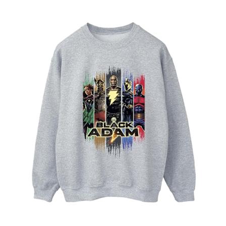 DC Comics Dam/Kvinnor Black Adam JSA Komplett Grupp Sweatshirt Sports Grey S
