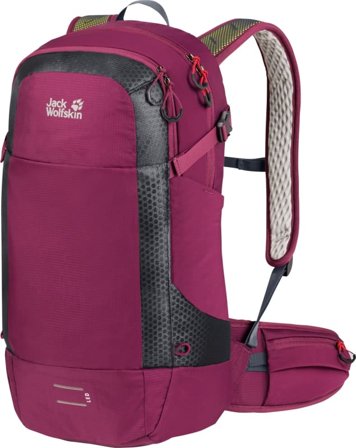 Jack Wolfskin Moab Jam Pro 24.5 everyday backpacks Purple OneSize